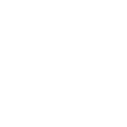 ce logo Blue Springs